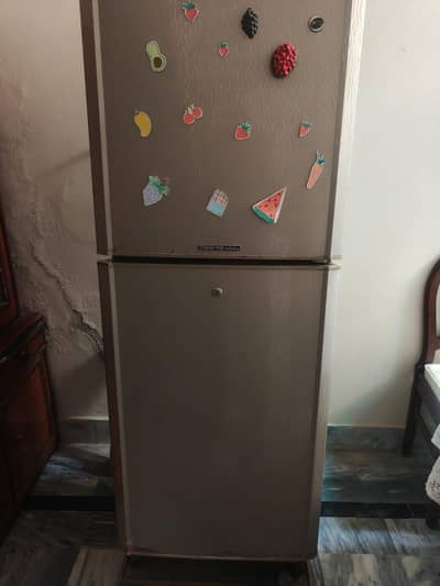 PEL Refrigerator