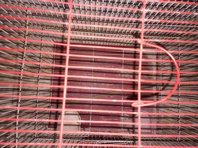 cages 0