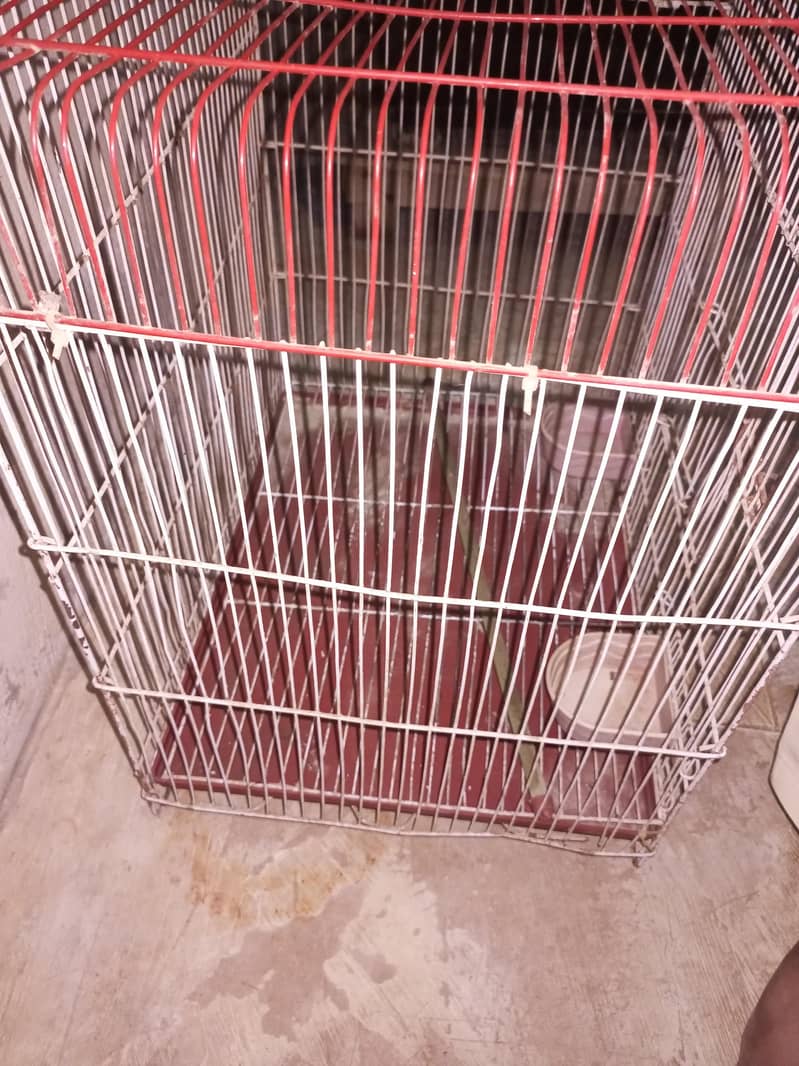 cages 1