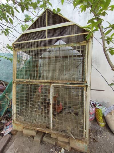 cage/pinjra available for birds and hen heavy weight