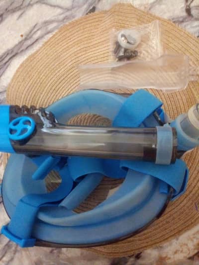 Snorkel Mask