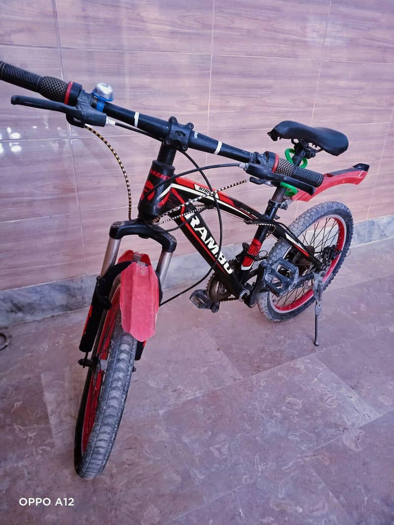 Cycle 1
