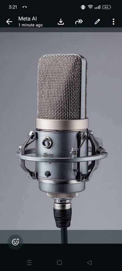 professional voice over service