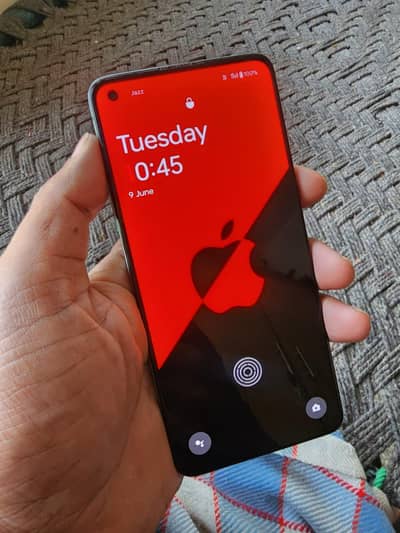 oneplus 8t  12/256