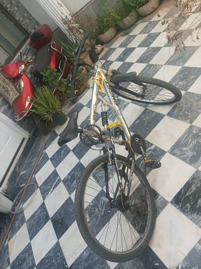26 inch cycle