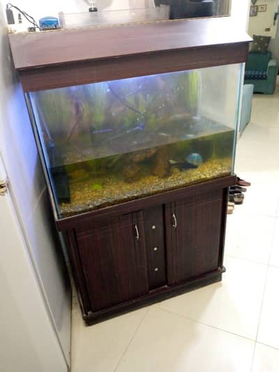 Aquarium