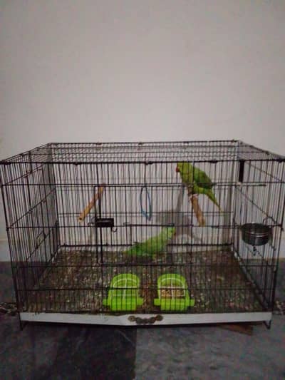 gigigkfottkfk