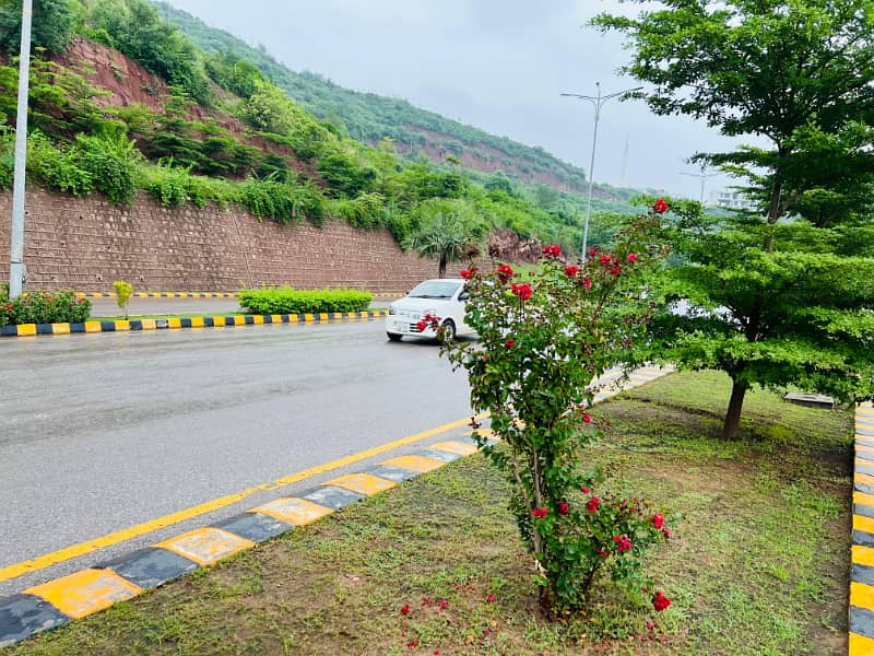 Prime Location 2 Kanal Plot Block D 4