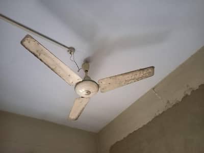 fan for sale
