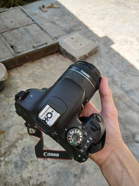 Canon EOS 800D 3