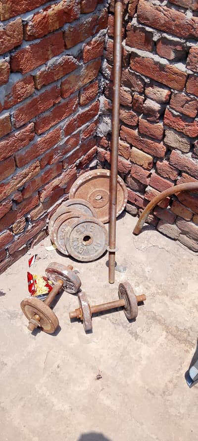 50kg gym paliats