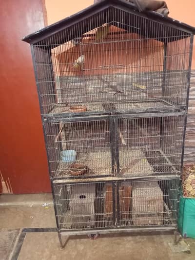 5 position cage