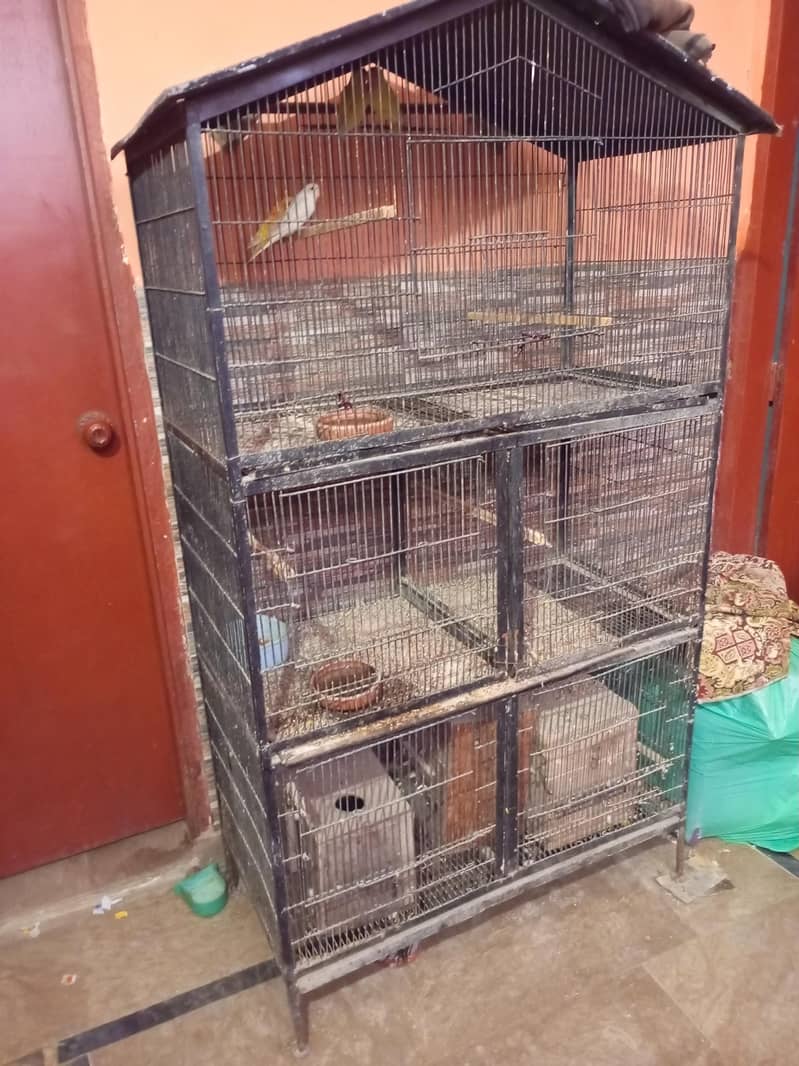 5 position cage 1