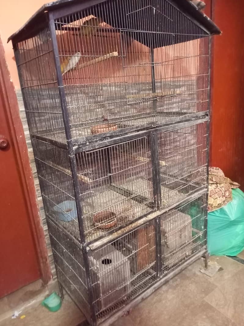 5 position cage 2