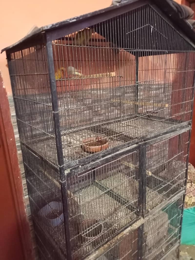 5 position cage 3