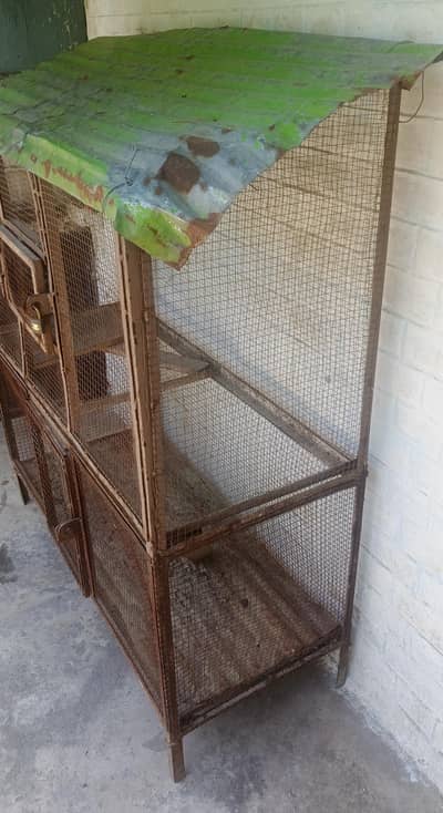 Hen Cage/ Pinjra
