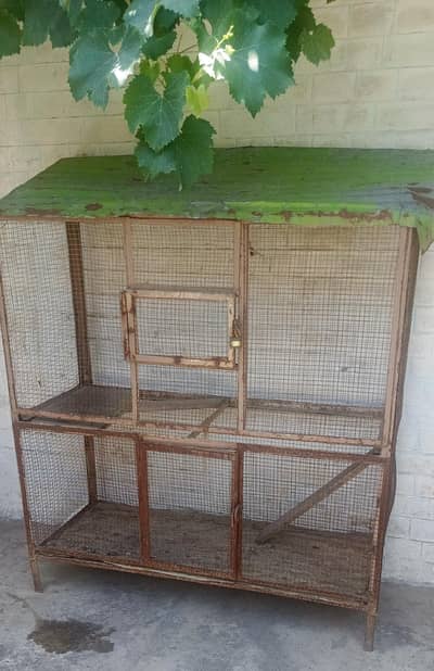 Hen Cage/ Pinjra