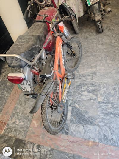 mountain bike size 20