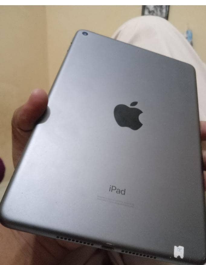 ipad mini 5 0