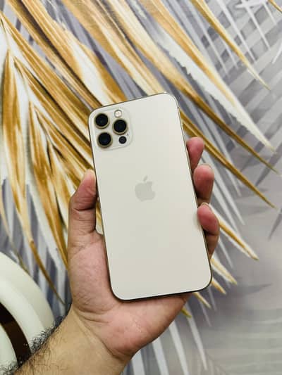 Apple iPhone 12 Pro