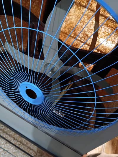 Air cooler