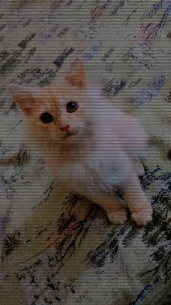 undefined 1