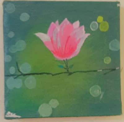 Tulip