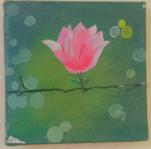 Tulip 0