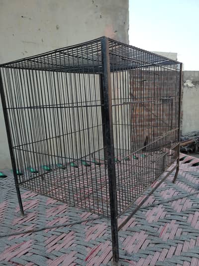 iron cage/birds cage/ aseel cage