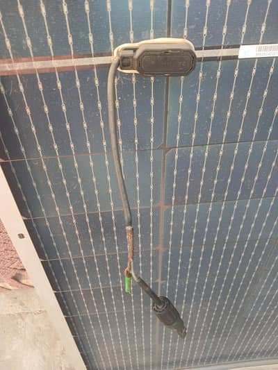 solar panals