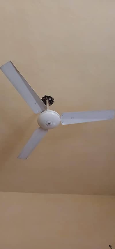 10 fan for sell
