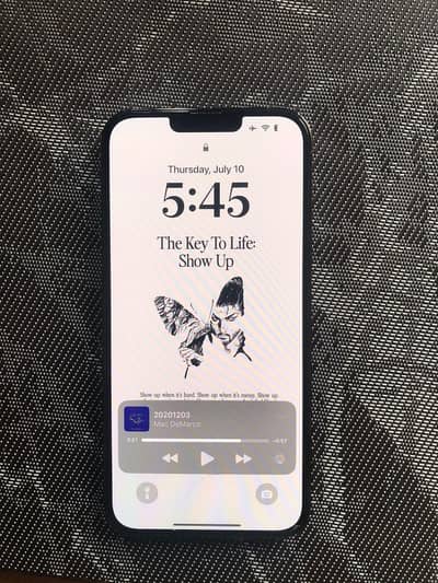 Apple iPhone 13 Pro Max