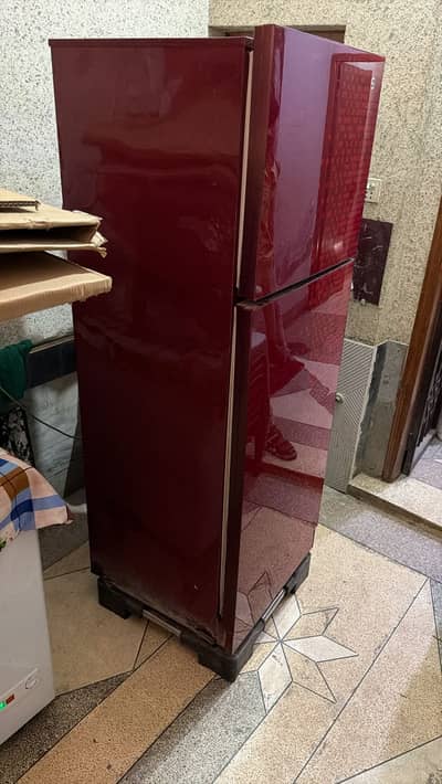 Class door PEL refrigerator