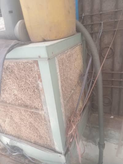 12 volt coler