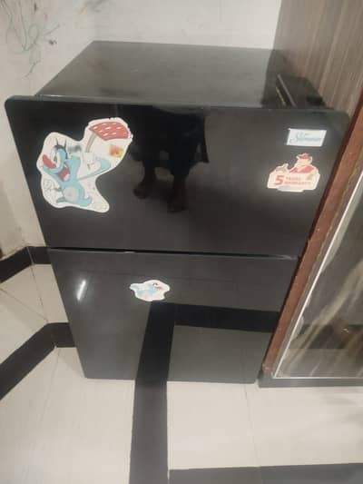 Signature imported small size 2 door fridge
