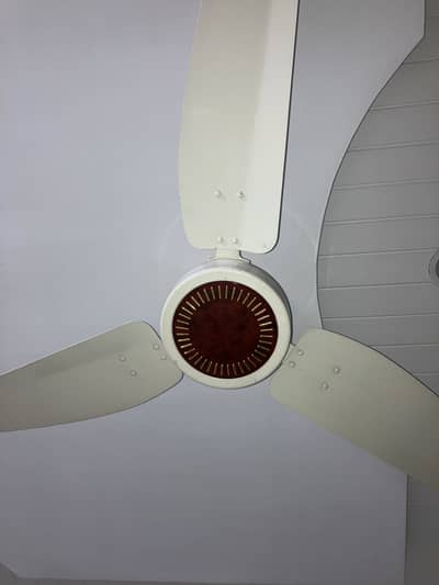Ceiling fan