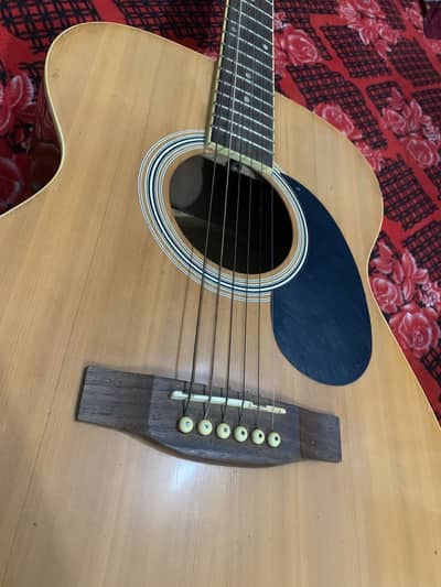 Professional guitar for Play