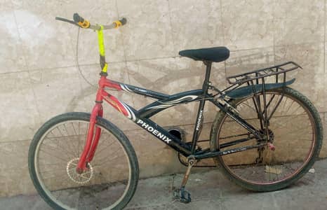 Phoenix Bicycle