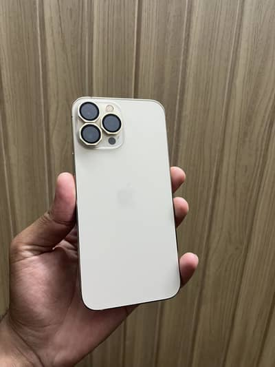Apple iPhone 13 Pro Max