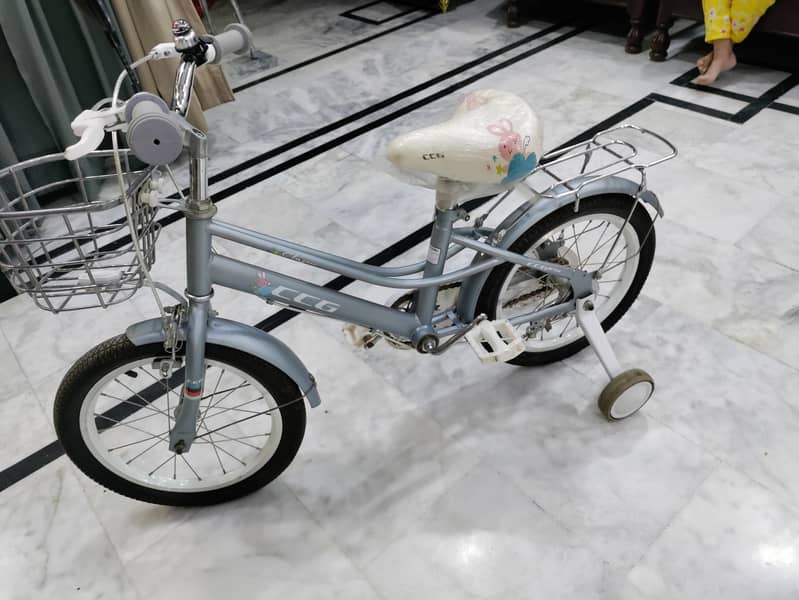 bicycle 1