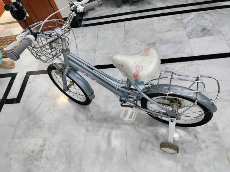 bicycle 2