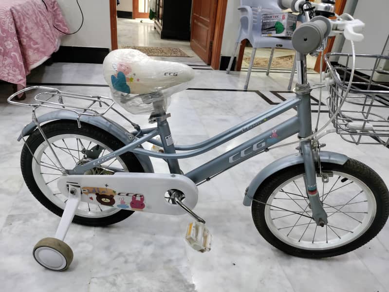 bicycle 3