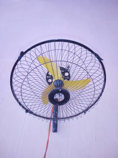 12 wot ka fan hai