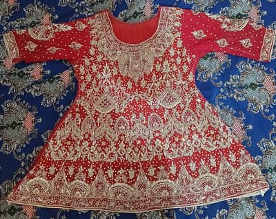 bridle lenga