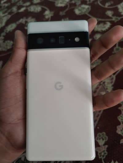 Google Pixel 6 Pro panel dead exchange possible