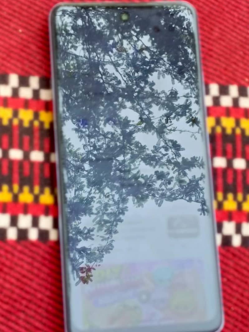 Dcode Bold 3 4