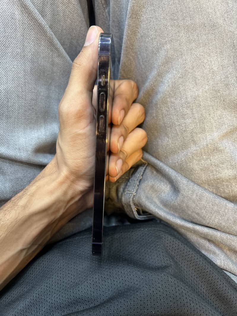 Apple iPhone 14 Pro Max 1