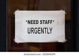 contact WhatsApp 03433492099