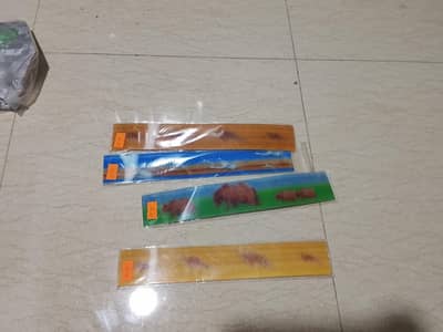 Lenticular animal rulers ,balloons and stamps for drawing