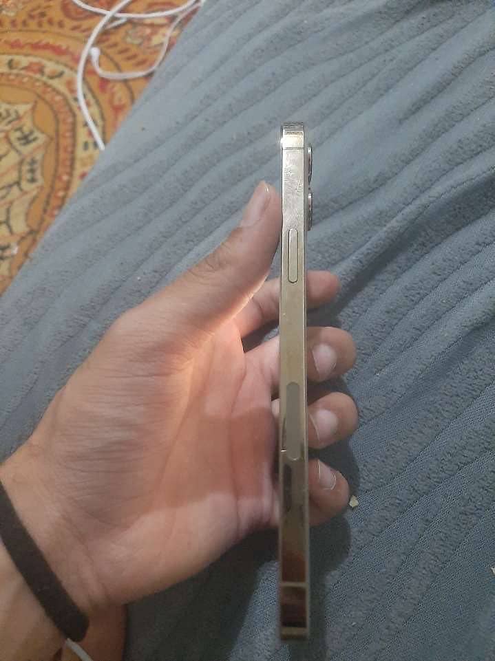 Apple iPhone 12 Pro Max 0